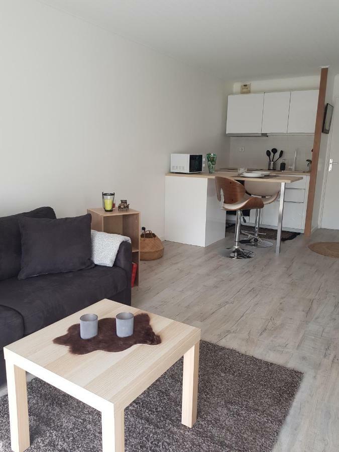 Laurier Apartment Toulouse Bagian luar foto