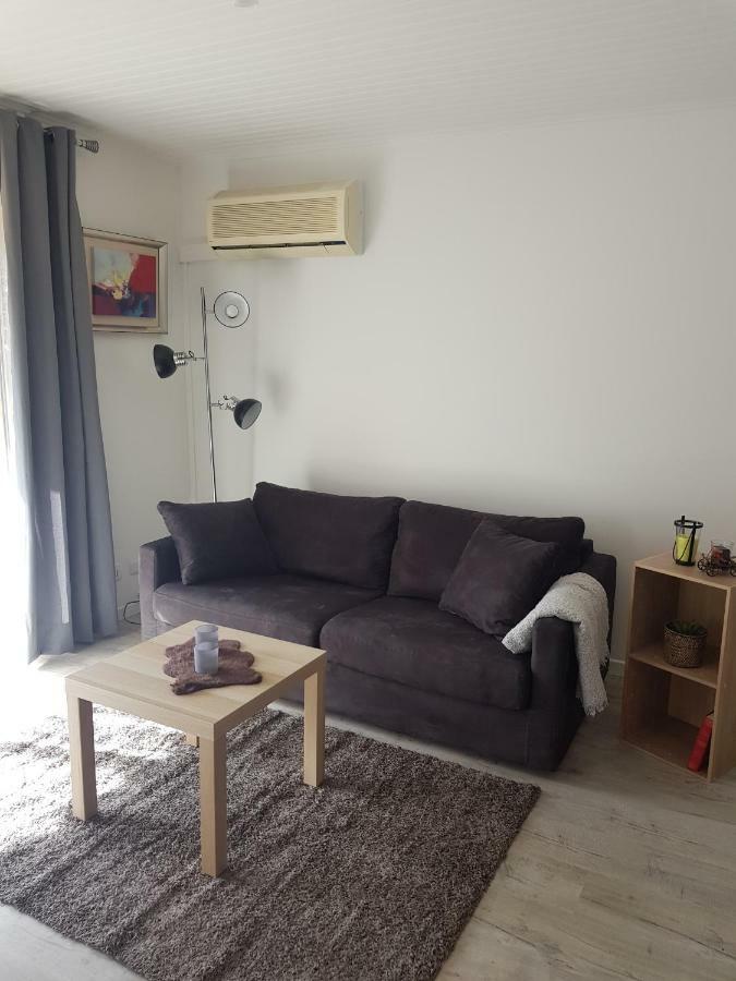 Laurier Apartment Toulouse Bagian luar foto