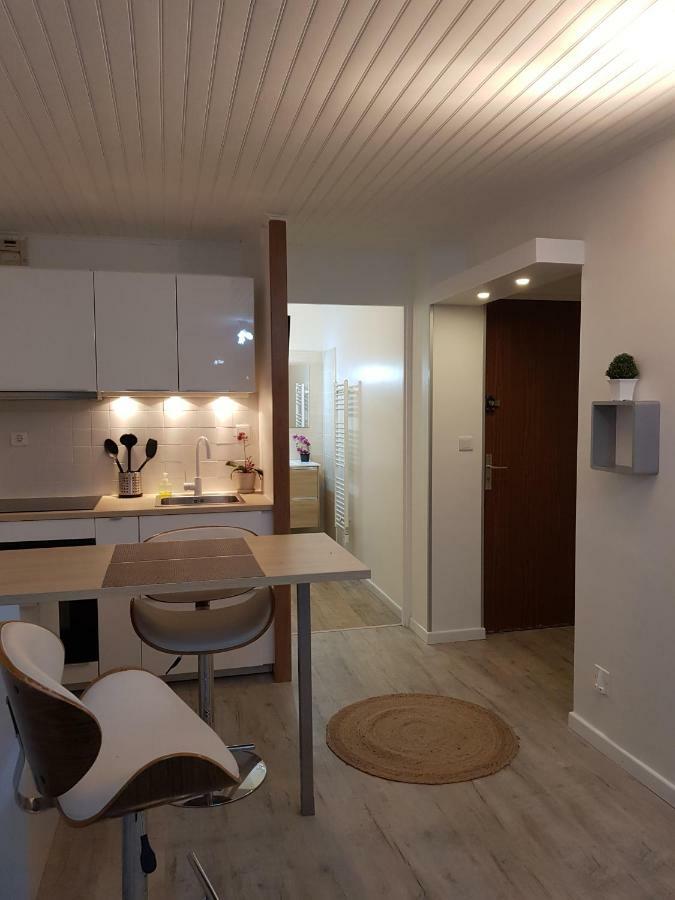 Laurier Apartment Toulouse Bagian luar foto